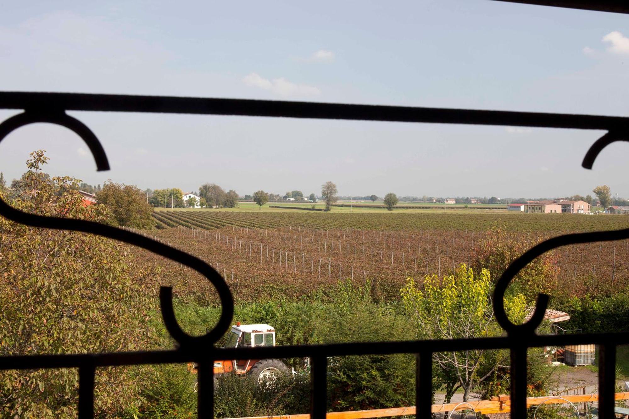 Agriturismo Il Bove Reggio d'Emilie Extérieur photo